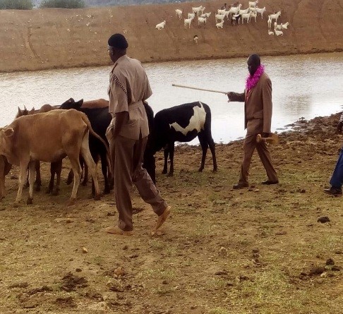 https://pokot-south.ngcdf.go.ke/wp-content/uploads/2021/08/Cheptiangwa-Water-Pan.jpg